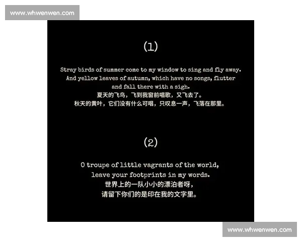 《在朗诵的世界里自由翱翔,展示童真与梦想的精彩瞬间》